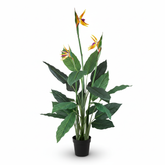 Artificial Leafy Birds of Paradise Flower - 140cm (5ft)